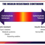 Insulin Resistance