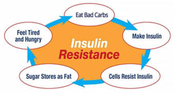 Understand Insulin and Insulin Resistance.