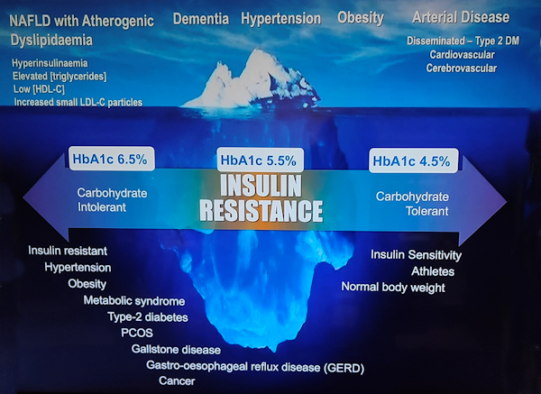 This is another way to illustrate Insulin Resistance.
