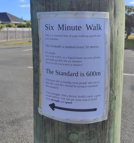 Six Minute Walk text